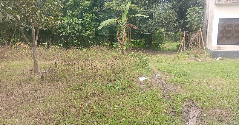 ছবি: প্রতিনিধি