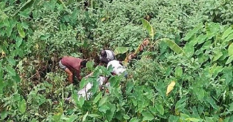 অর্ধগলিত মরদেহ উদ্ধার