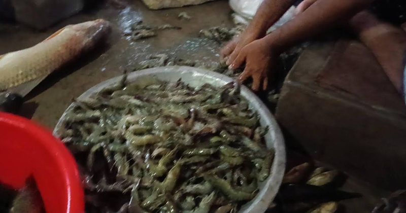ছবি: প্রতিনিধি