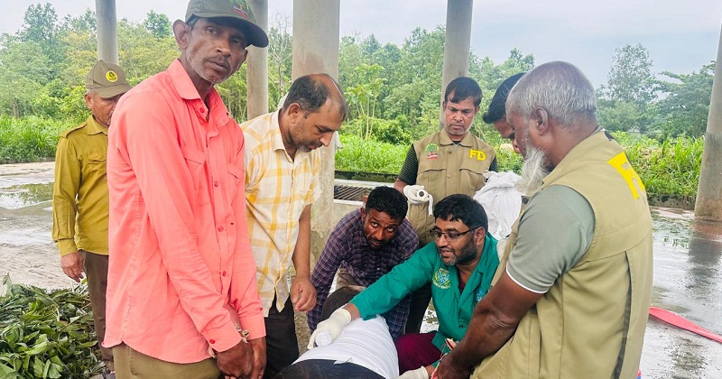 ভেঙ্গেছে রাজা বাহাদুরের পা