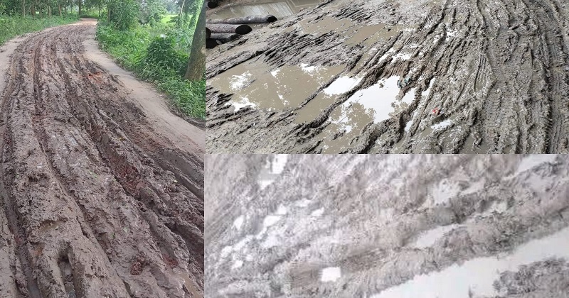 ছবি: প্রতিনিধি