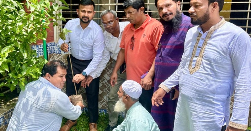 বৃক্ষরোপণ কর্মসূচি