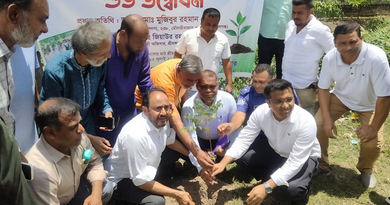 বৃক্ষরোপণ কর্মসূচির উদ্বোধন