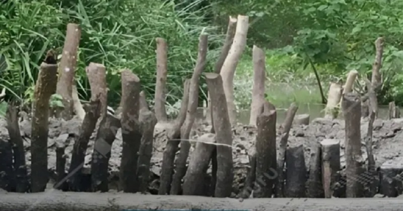ছবি : প্রতিনিধি