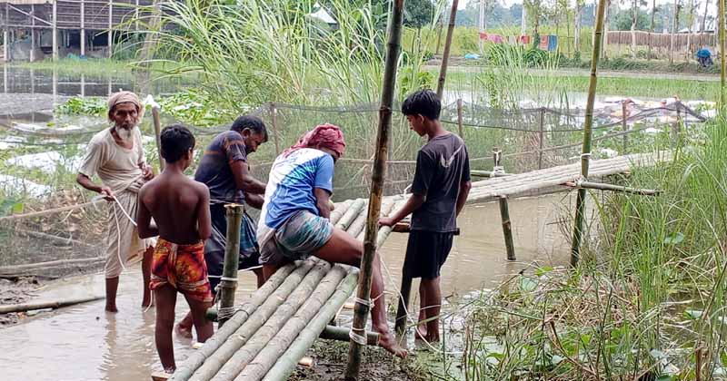 ছবি : প্রতিনিধি