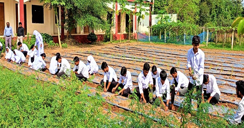 খুন্তি-কোদালে তরুণদের বিপ্লব