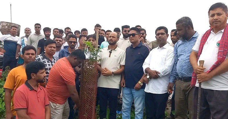 বৃক্ষরোপণ কর্মসূচির উদ্বোধন