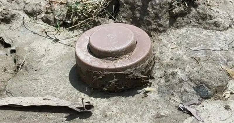 ছবি: প্রতিনিধি