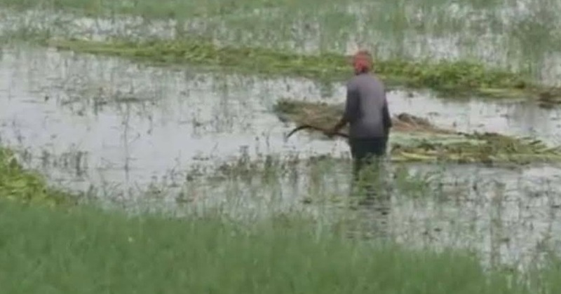 ছবি: প্রতিনিধি