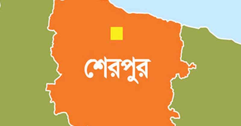 ফাইল ছবি