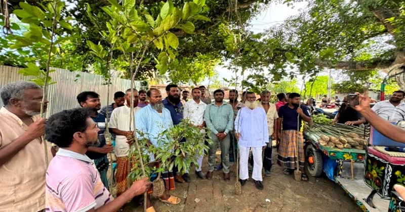 ছবি: প্রতিনিধি