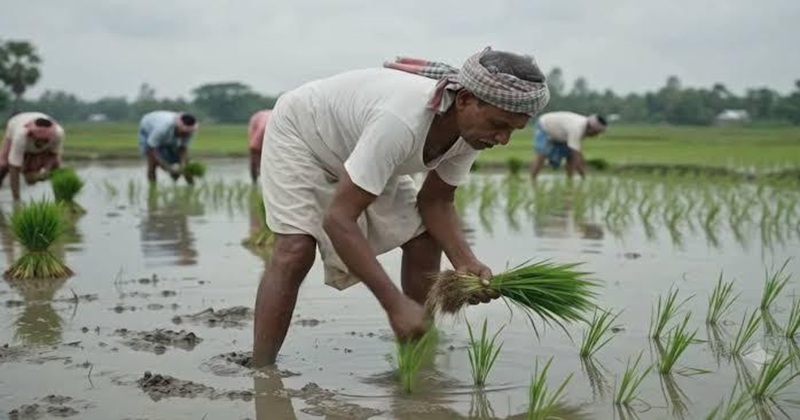 ছবি: প্রতিনিধি