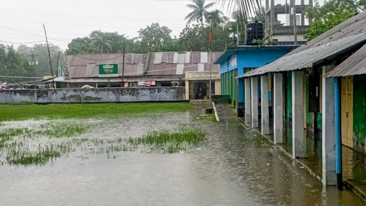 ছবি : প্রতিনিধি