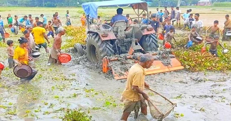 ছবি: প্রতিনিধি