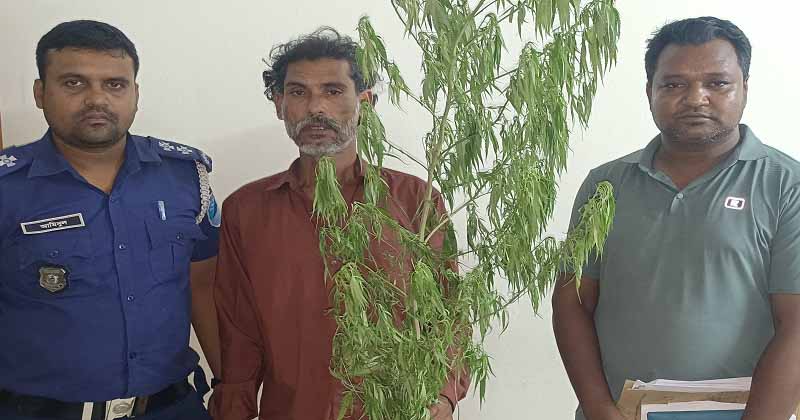 ছবি : প্রতিনিধি
