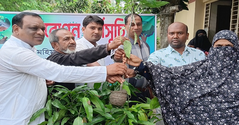 ছবি : প্রতিনিধি