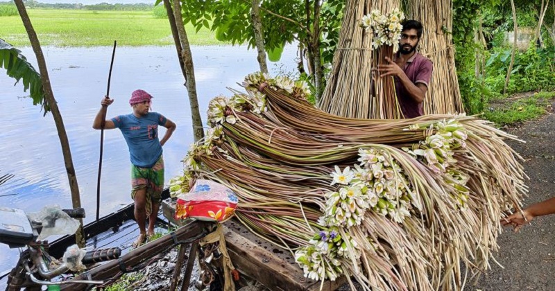 আগৈলঝাড়ায় বর্ষার অলস দিনে বিকল্প জীবিকা