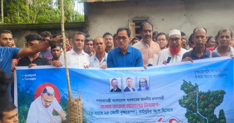 বেনাপোলে পৌর বিএনপির বৃক্ষরোপন কর্মসূচী অনুষ্ঠিত হয়েছে।