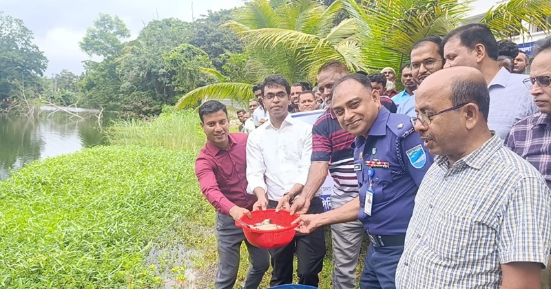 গোসাইরহাট উপজেলায় জাতীয় মৎস্য পক্ষ উপলক্ষে পোনা মাছ অবমুক্ত করা হয়