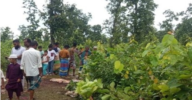 শ্রীপুরে জবাই করা ঘোড়ার ১২ মাথা-চামড়া উদ্ধার, মাংস নিয়ে জনমনে আতঙ্ক