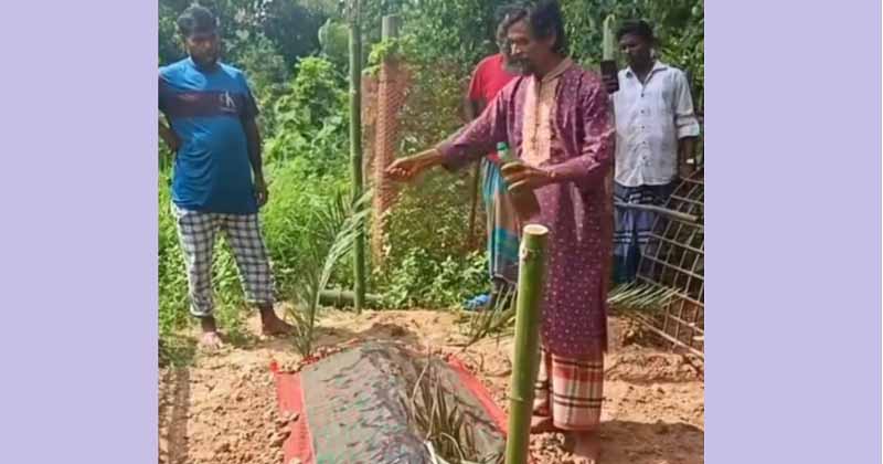 ছবি : প্রতিনিধি