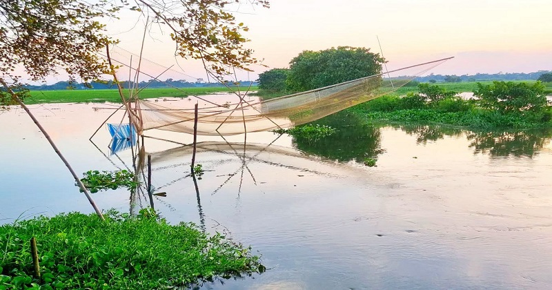 ছবি : প্রতিনিধি