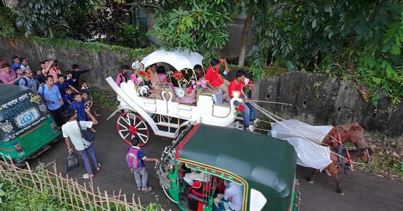 শিক্ষকের রাজকীয় বিদায়