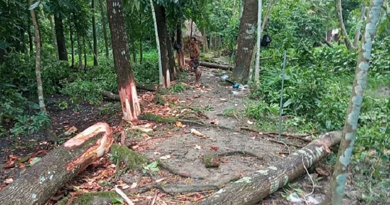 ছবি : প্রতিনিধি