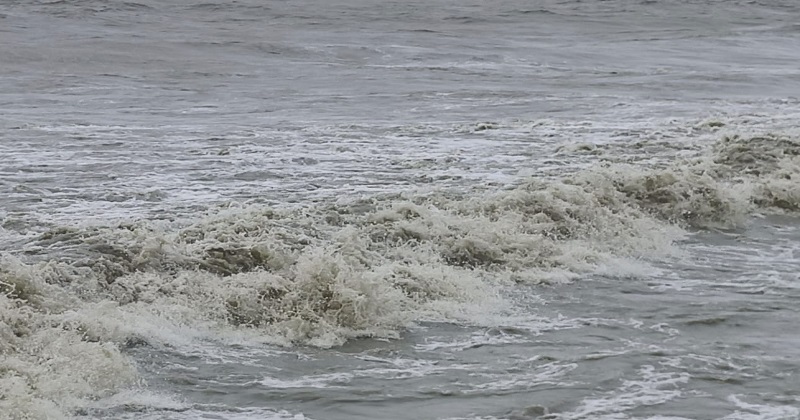 ছবি : প্রতিনিধি