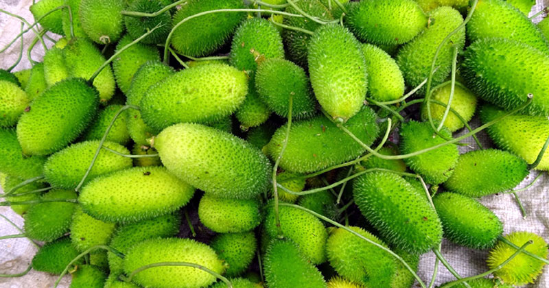 কাকরোল
