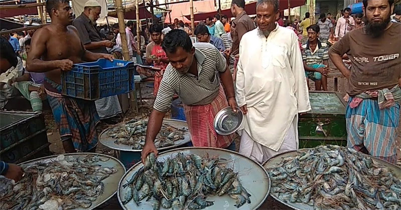 মাছ