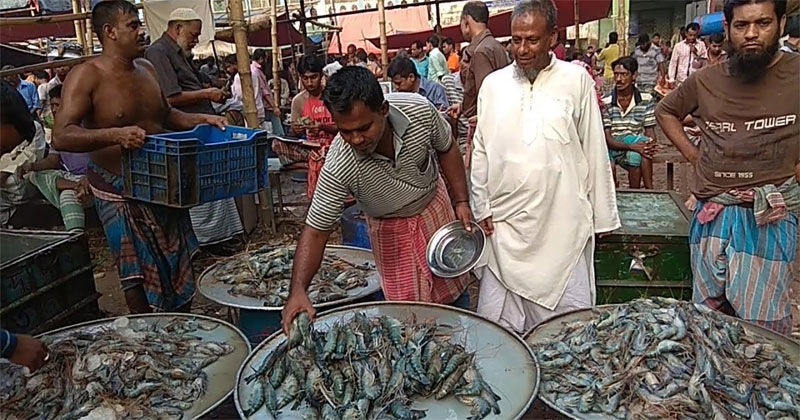 মাছ