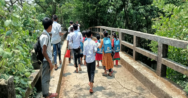  ভাঙা সেতু পাড় হয়ে স্কুলে যাচ্ছে শিশু শিক্ষার্থীরা